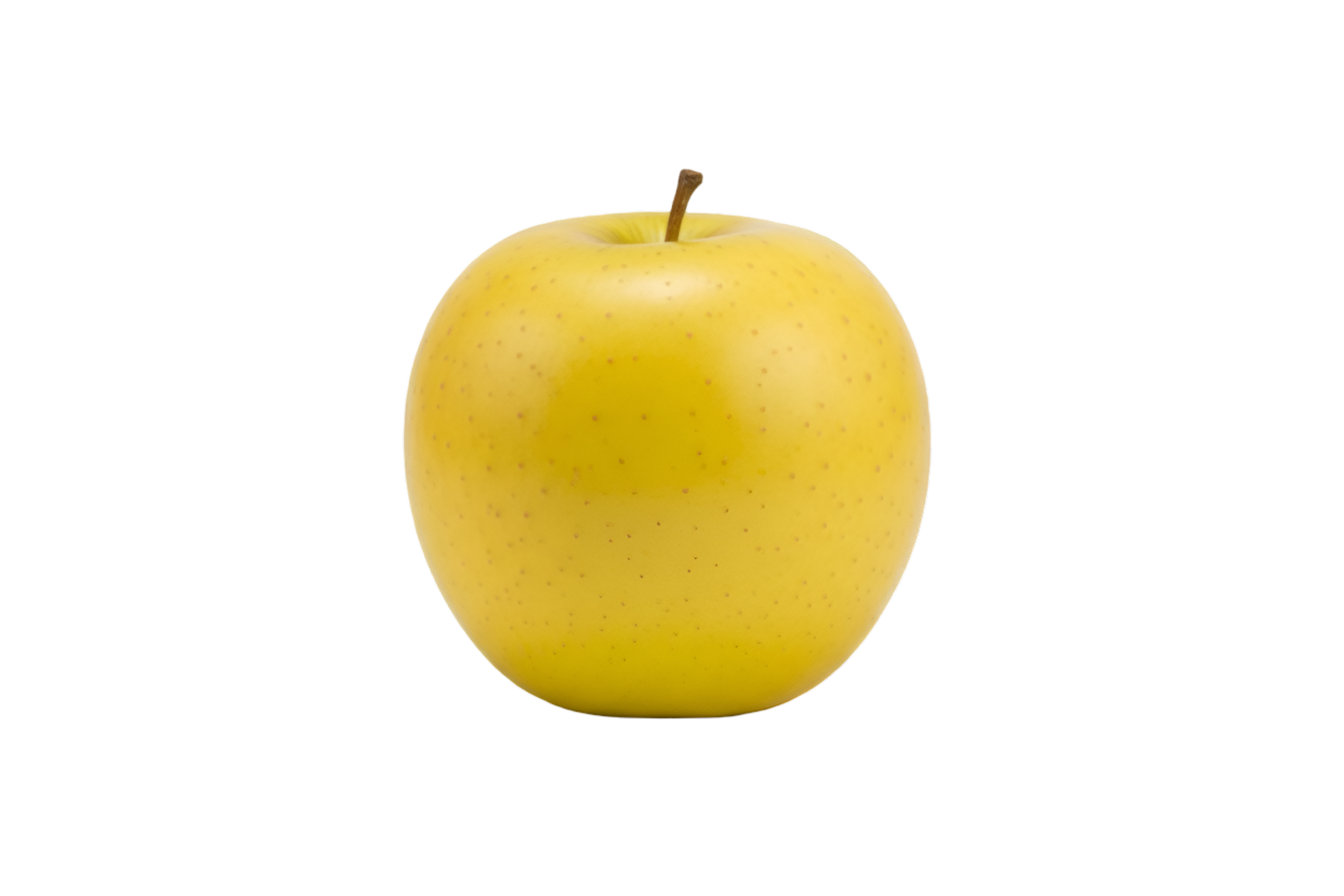 gemini generated image jo8tgjjo8tgjjo8t (1)