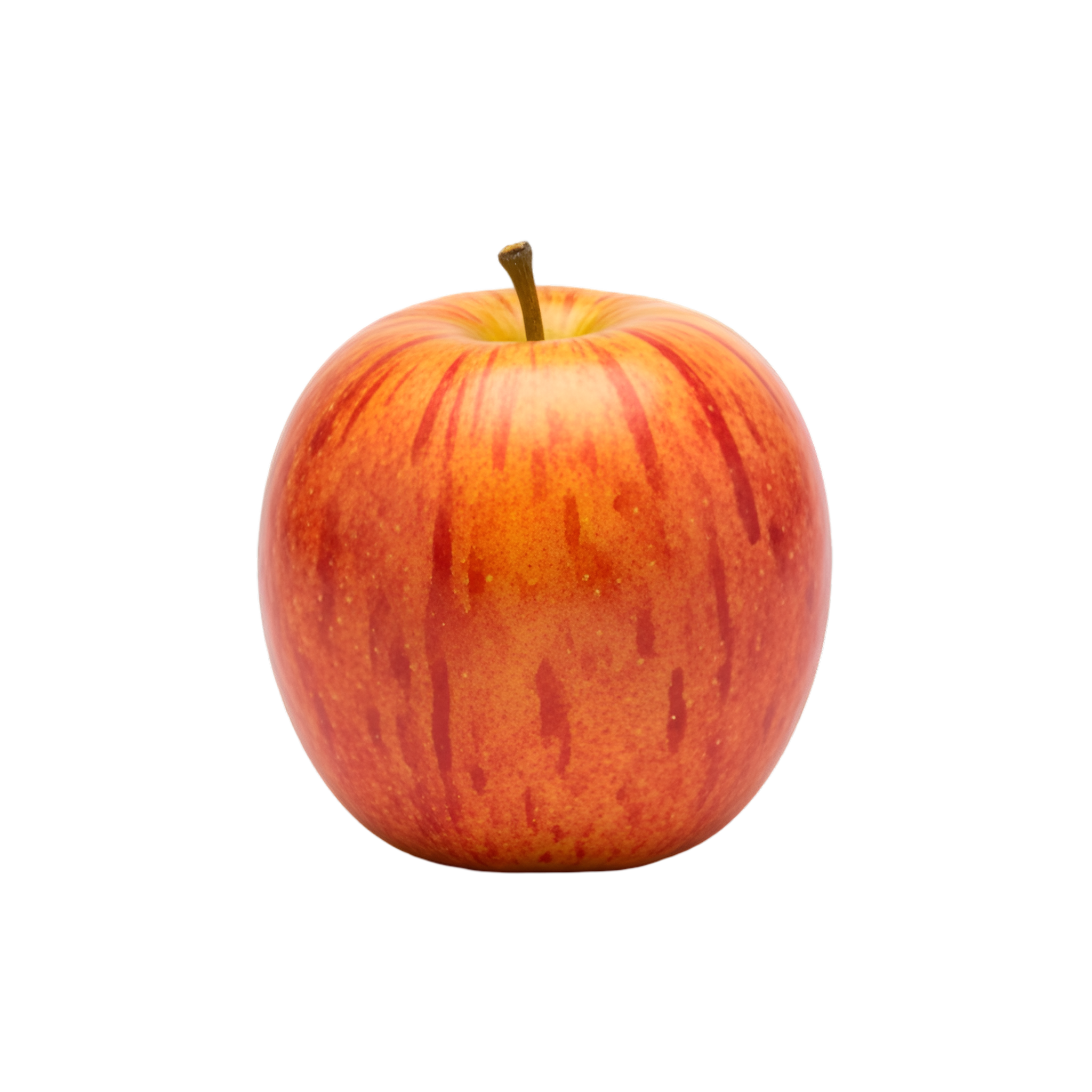 gemini generated image vtzvwvvtzvwvvtzv (1)